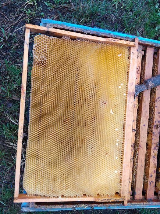 Продам сушь 145 и 300 рамка