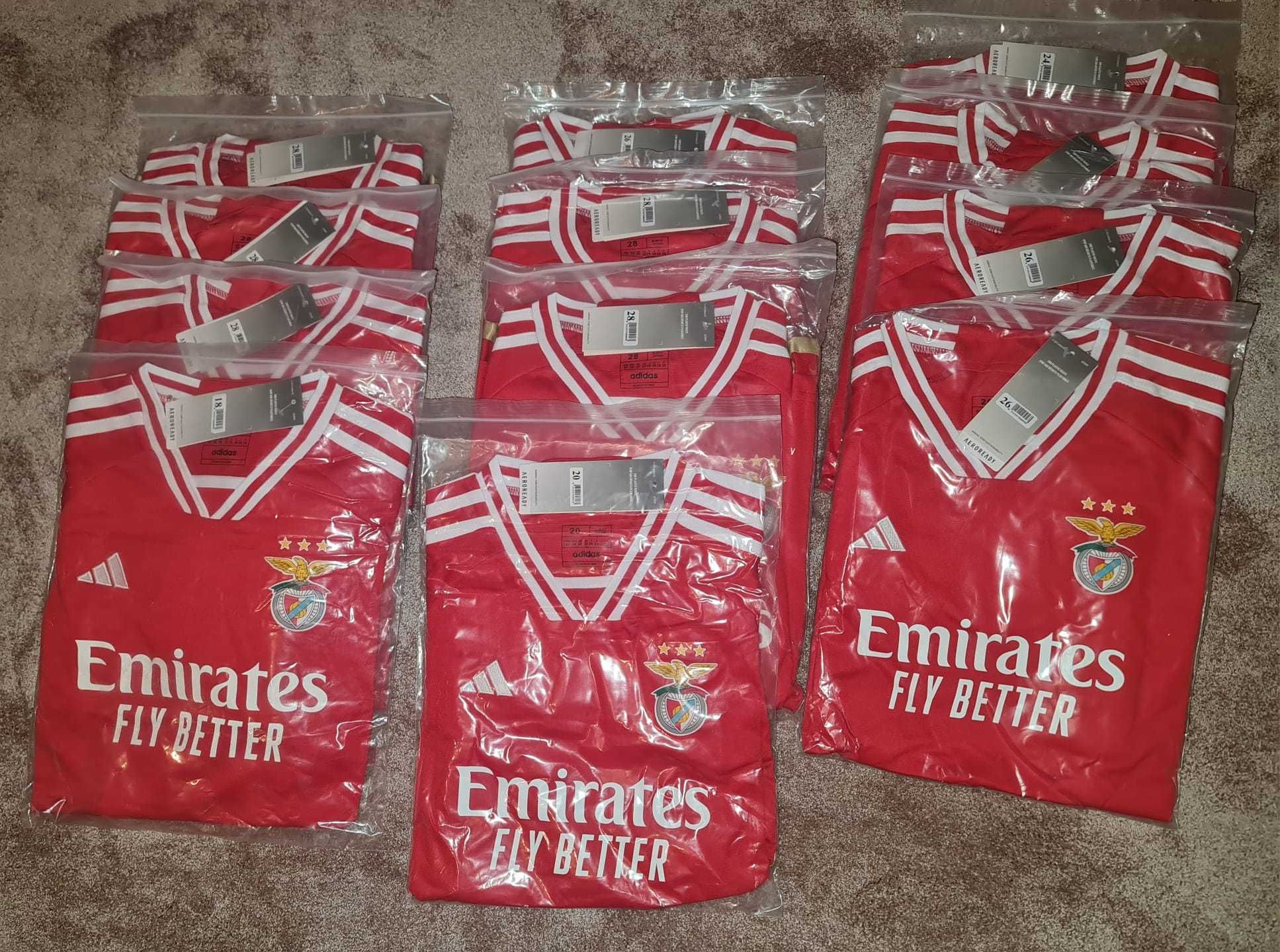 Equipamento criança SL Benfica (e outros)