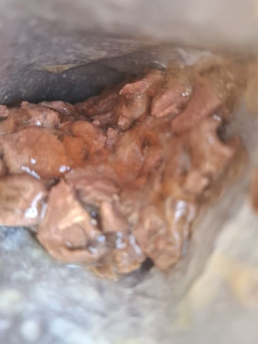 Saszetka mięso  100 g dla psa kota  pakiet 100 szt karma mięso kot