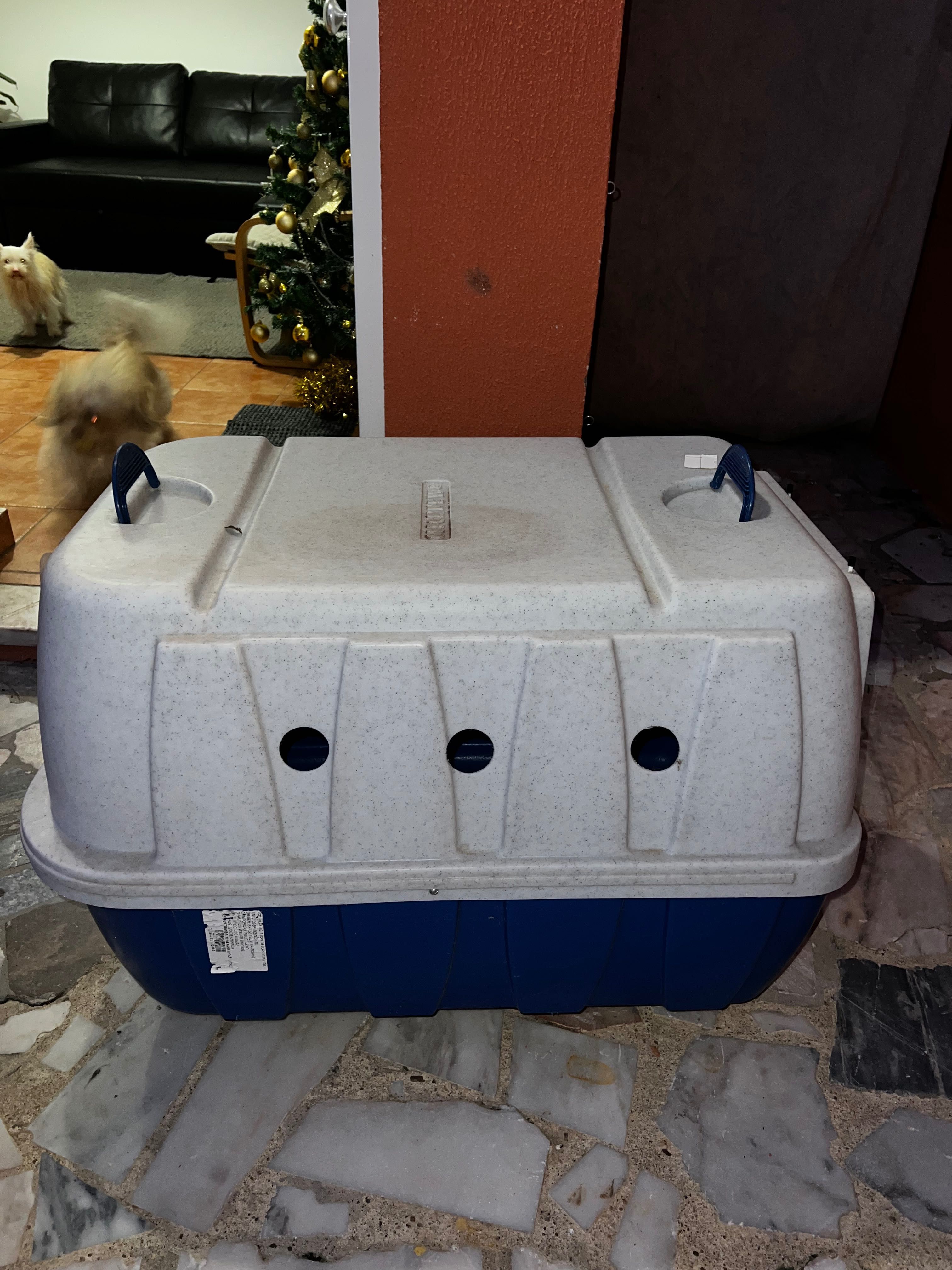 Caixa transportadora de animais