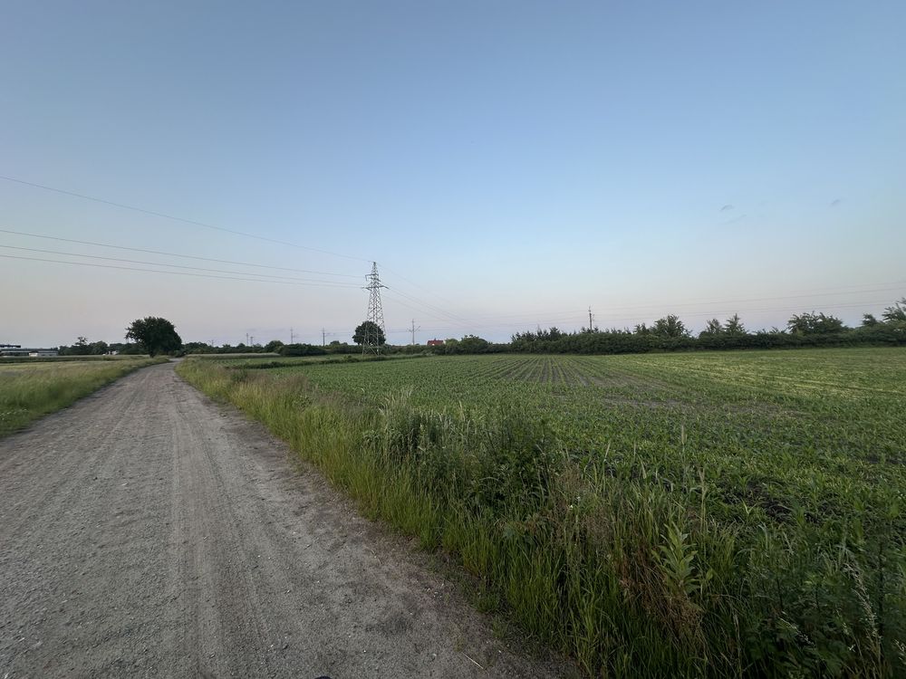 Krotoszyn ul. Konarzewska