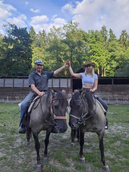 Sprzedam koniki polskie