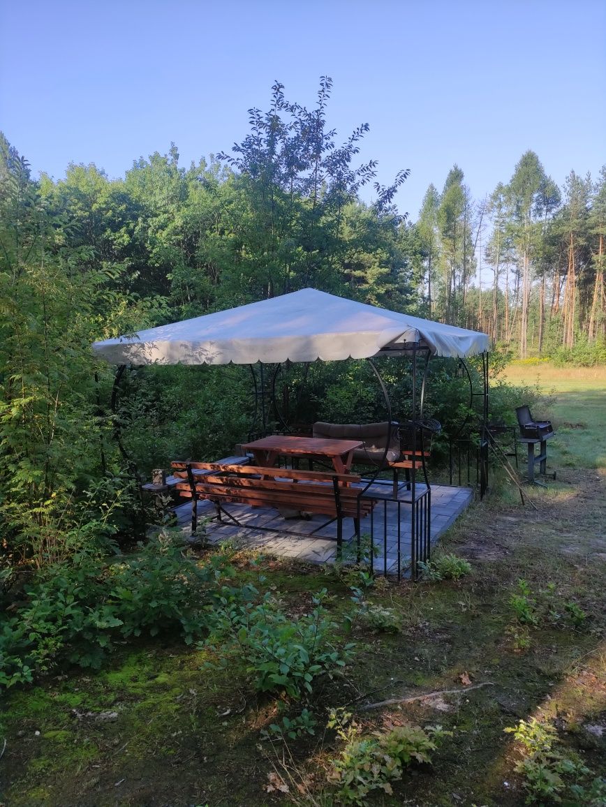 noclegi ogrzewany domek caloroczny na leśnej polanie.