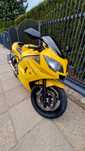 Triumph daytona 600 nie cbr, r6, ninja