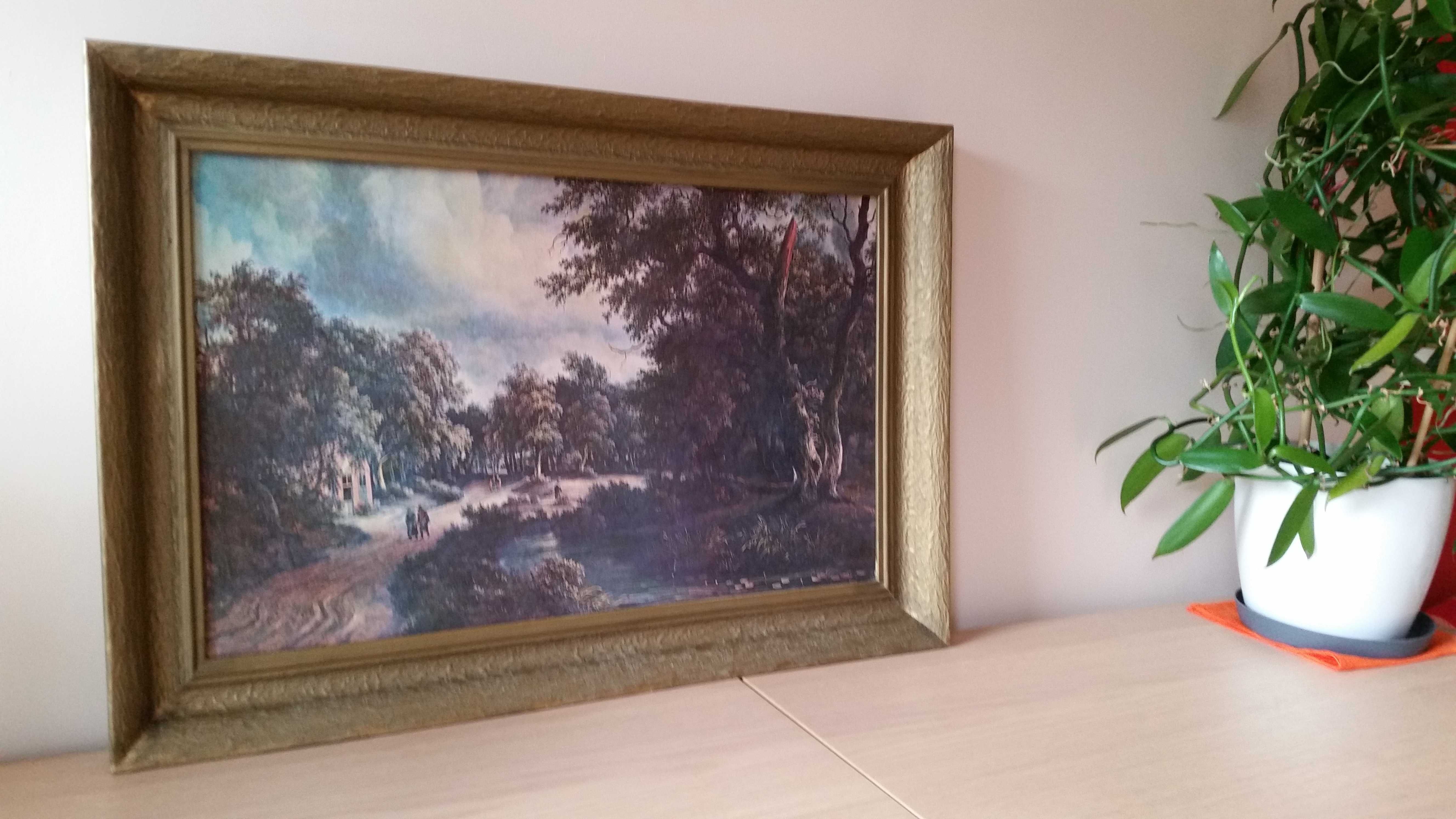 Obraz olejny M. Hobbema Pejzaż leśny k. Haarlem | kopia 73,5 x 50,5 cm