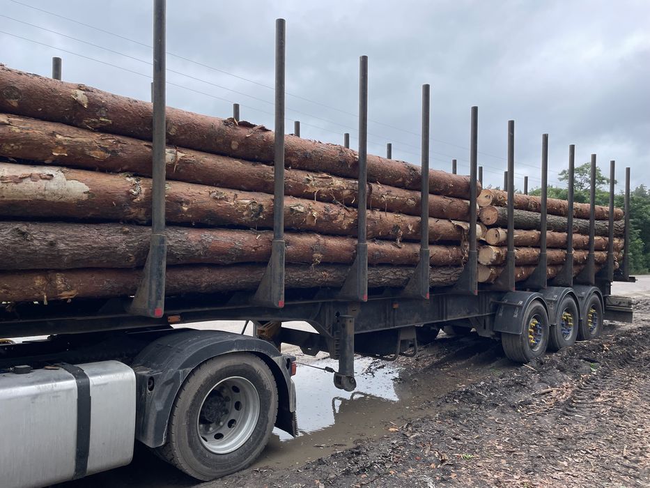 Продам Кругляк ,сосна 3-6м