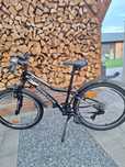 Rower Kross 24 cale