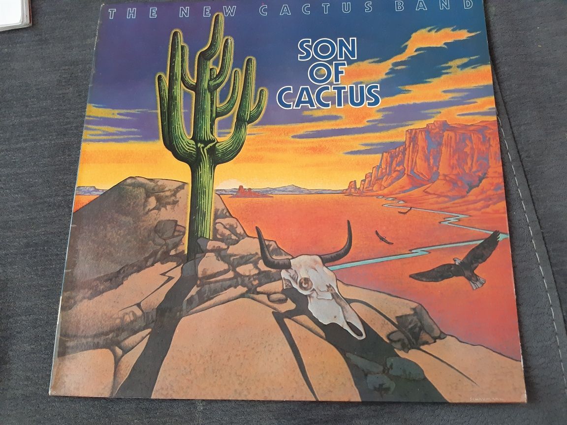 The new cactus band/1973/son of cactus/atlantic/ger/ex+/nm-