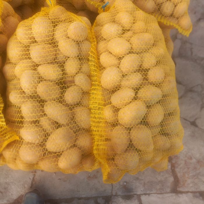 Sprzedam ziemniaki jadalne  soraya