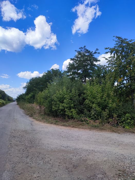 Продаж поруч з Франківськом житлового будинку 150 м2 та землі 39 сот