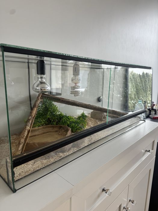 Terarium stan idelany