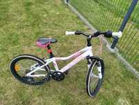 Kross Lea 20 cali