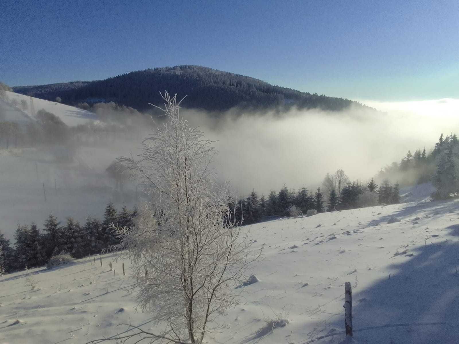 Sowi Stok domek z widokiem Góry Sowie Sokolec Sudety