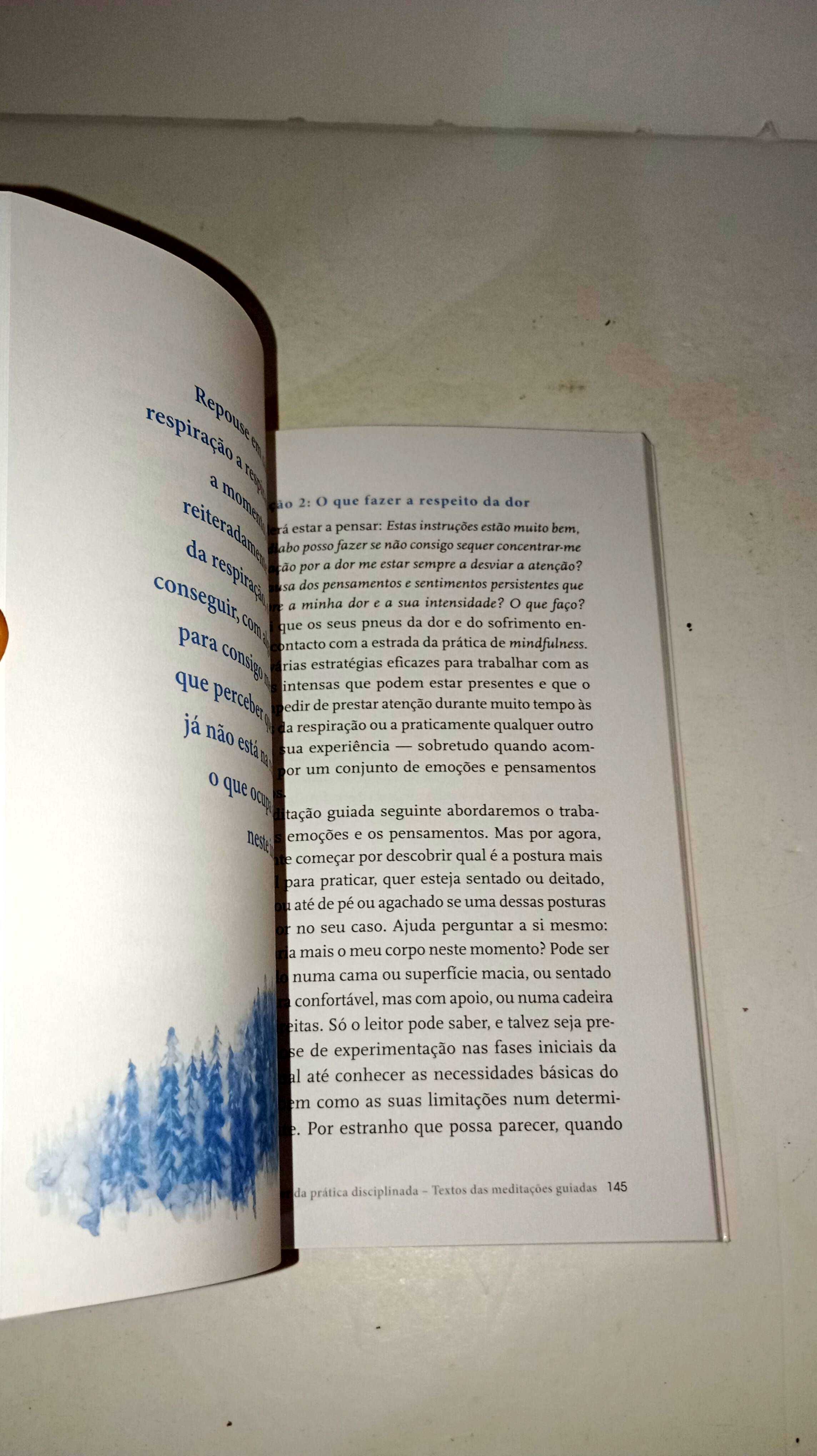 Mindfulness para o Alívio da Dor