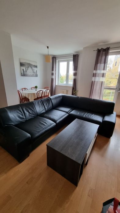 Naroznik -  skóra ekologiczna