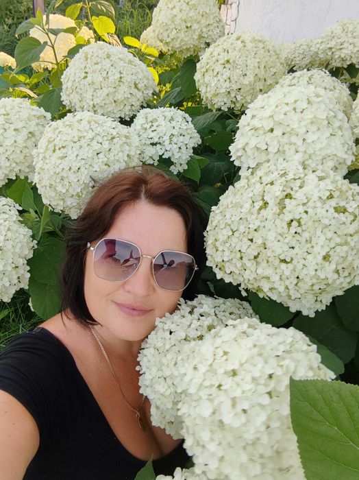 Гортензія деревовидна "Incerdible"