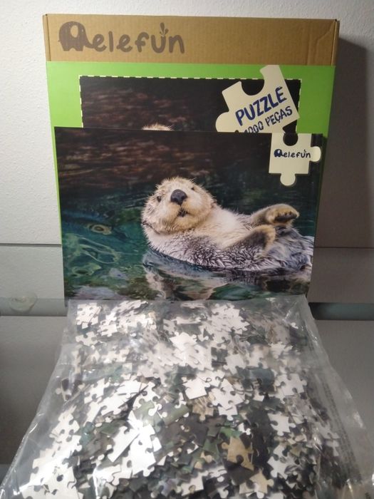 Puzzle 1000 - Castor