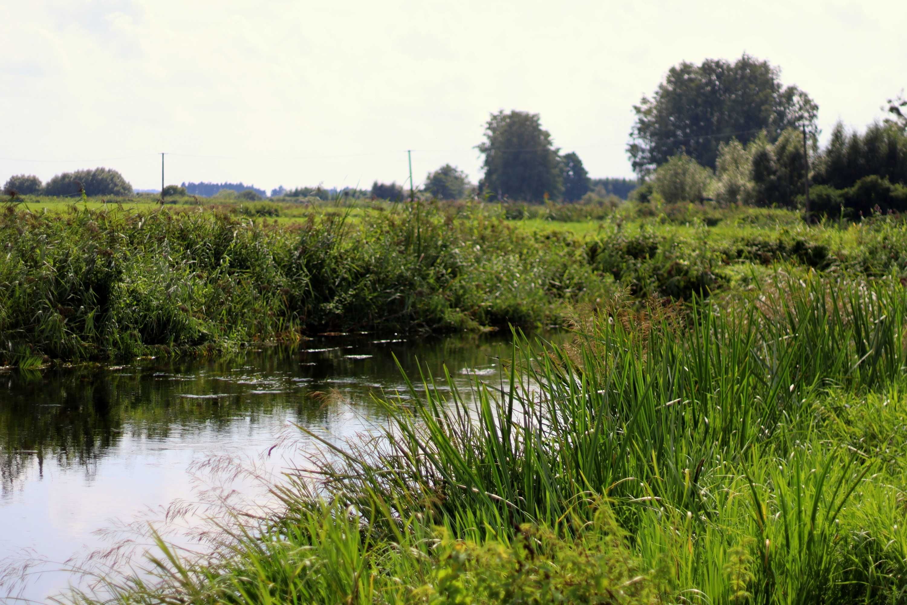 Wyjątkowa, malowniczo położona działka 2846 m2