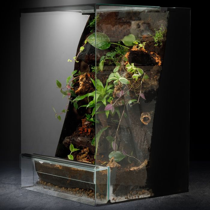 Terrarium gekon tropikalne 40x40x60