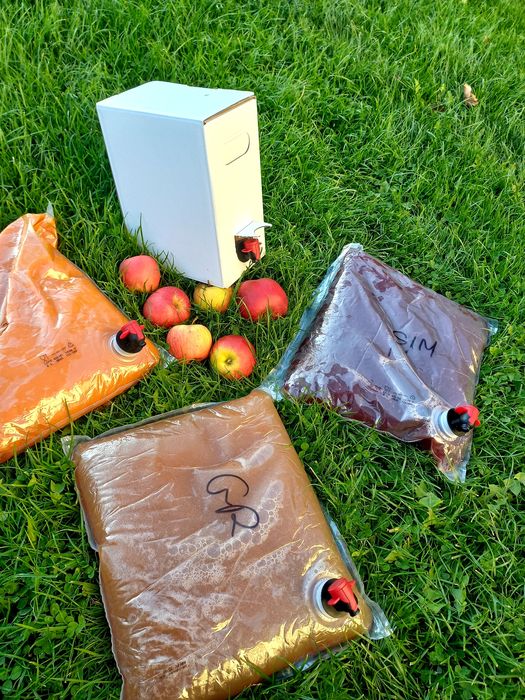 Soki naturalne tłoczone 5LITRÓW