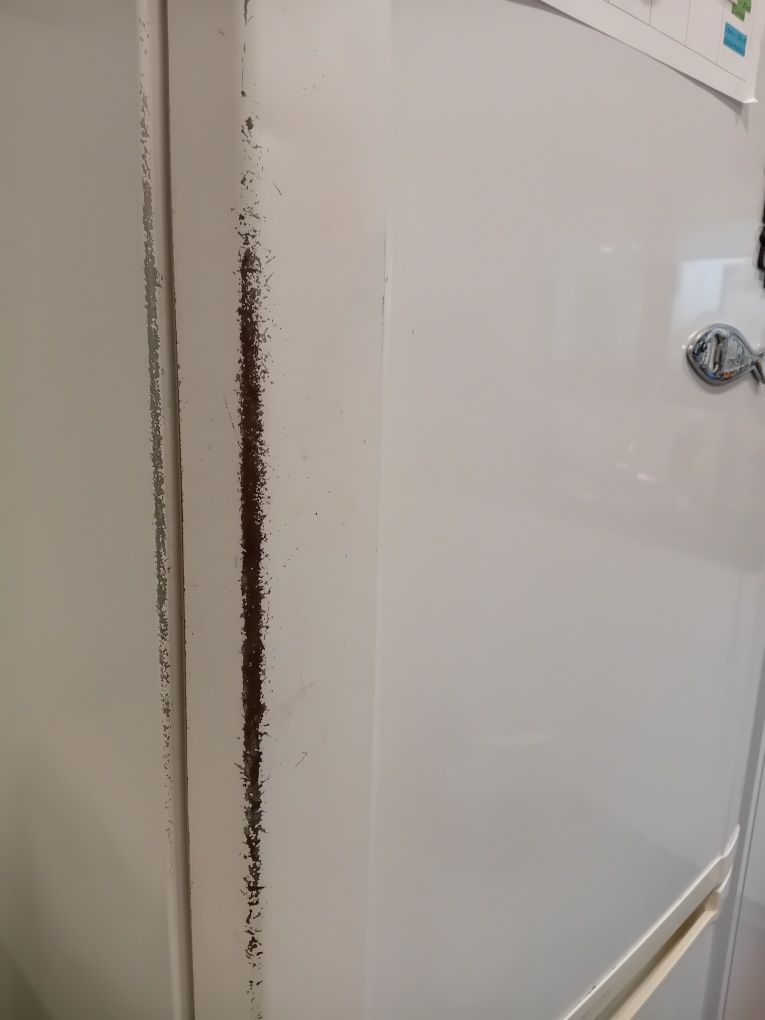 Frigorífico combinado Samsung