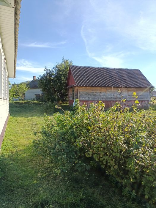 Будинок з гарною ділянкою