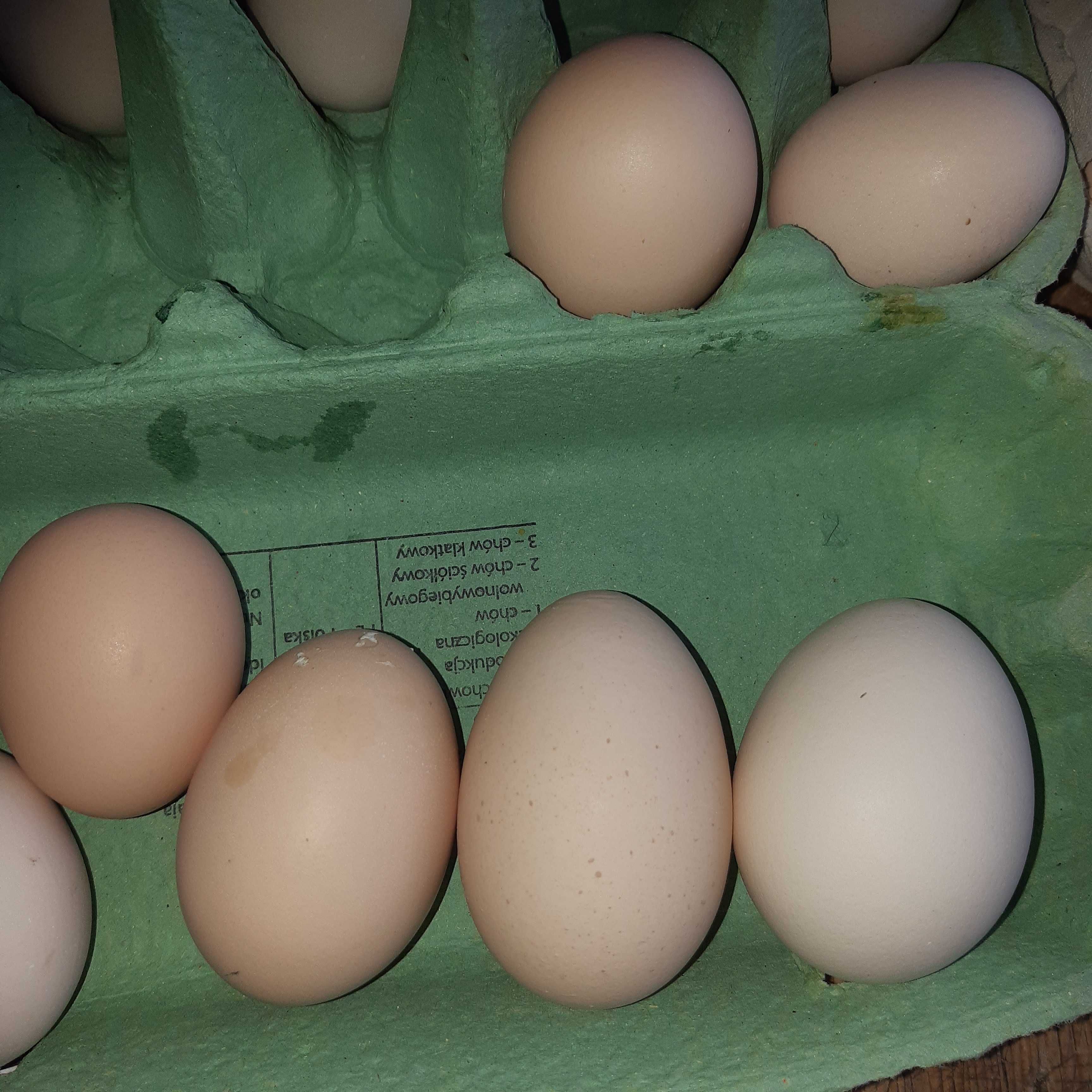 Jajka swojskie wiejskie  kurze   z wolnego wybiegu