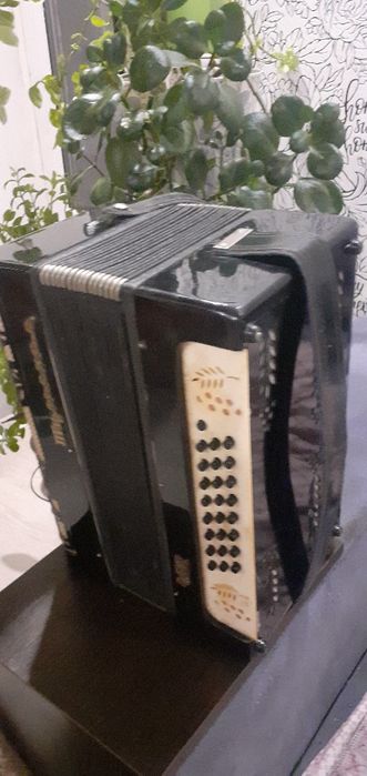 гармошка "Тульская" потрібно настроїти