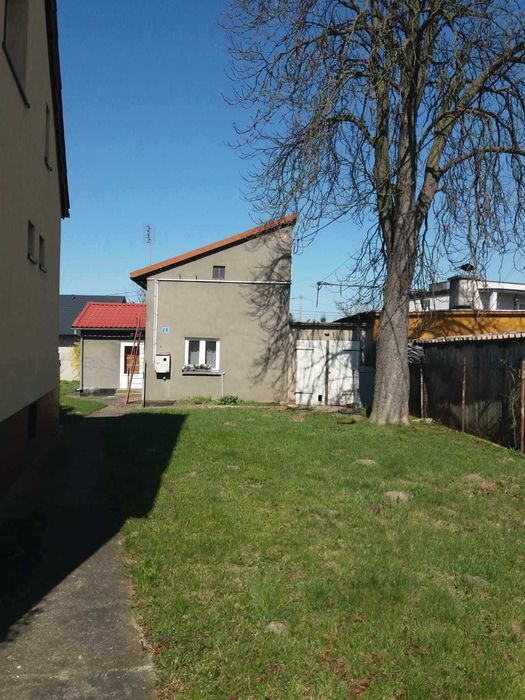 Dom z ogrodem w Jegłowniku