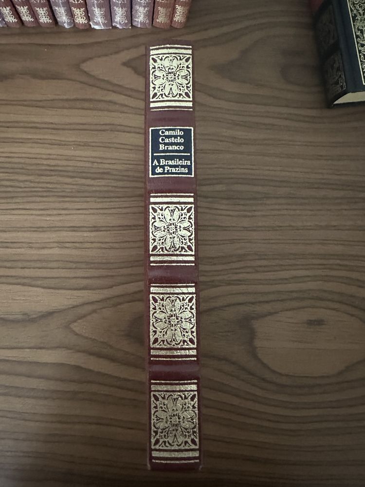 brasileira de prazis livro