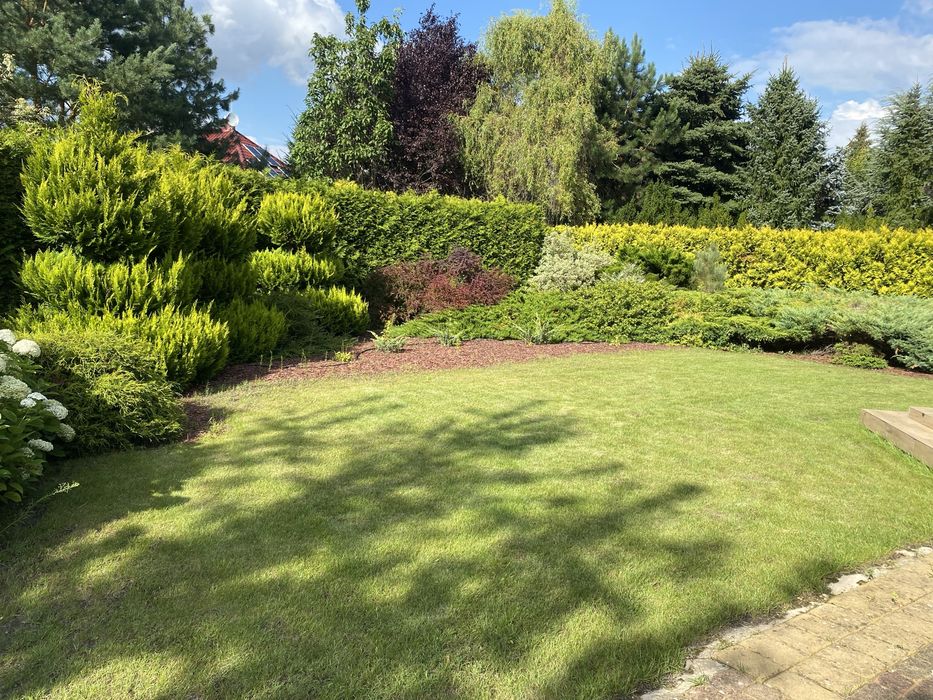 Usługi ogrodnicze/wycinki drzew