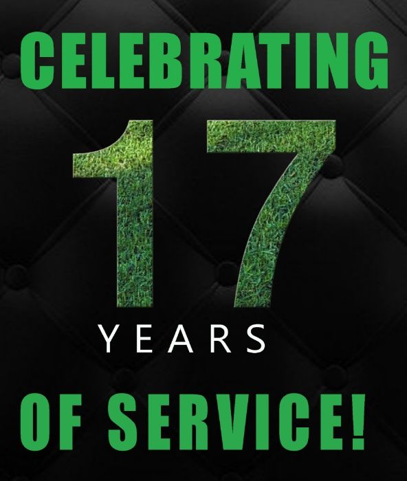 Травосмесь прочная газонная для дачи Выносливый газон семена тень