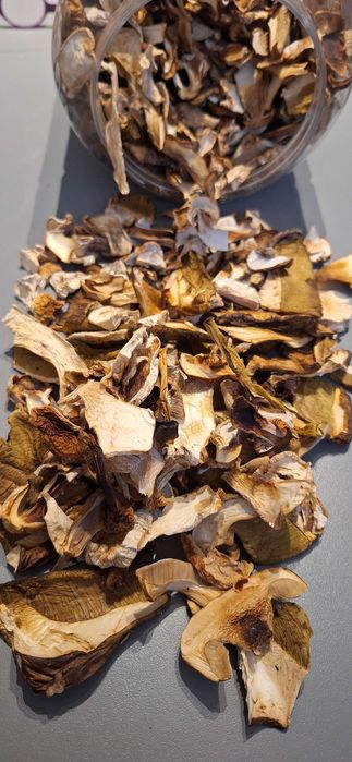 Suszone grzyby borowiki szlachetne, podgrzybki, borowiki ceglastopore