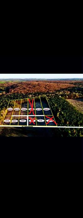 Atrakcyjne działki na Jurze