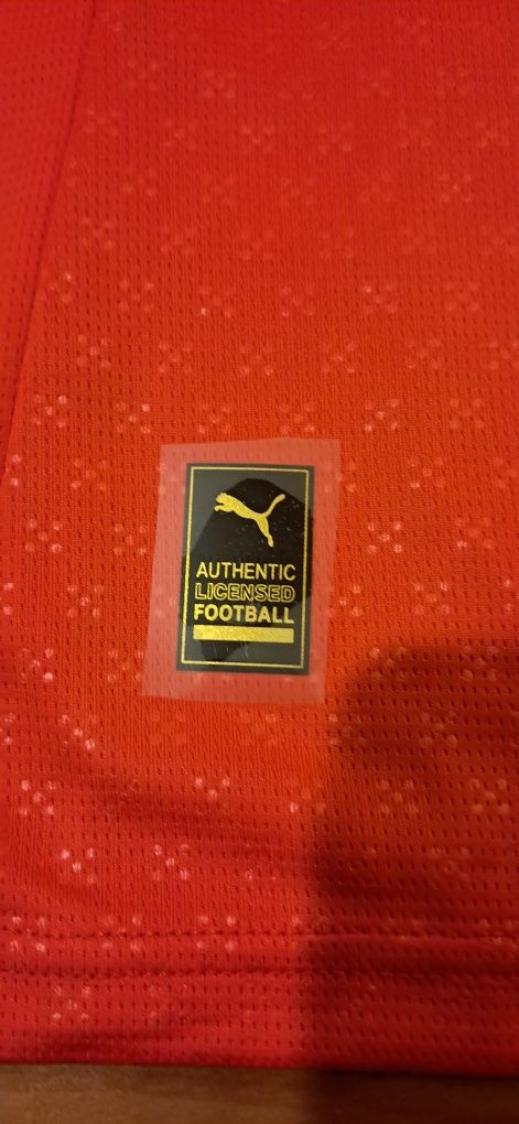 Camisola Selecção Nacional 24/25 L-XL