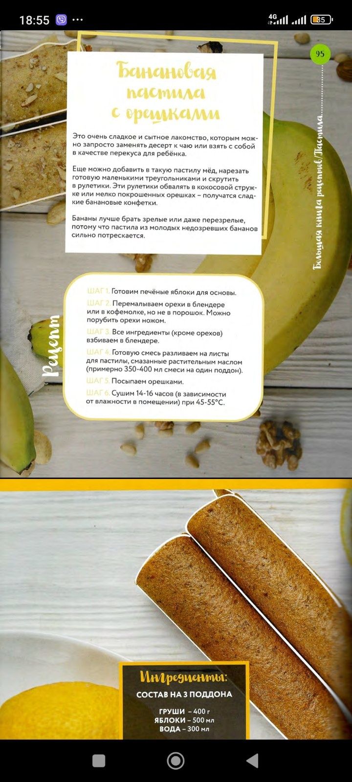 Сушилка/дегідратор для овочів та фруктів Беломо