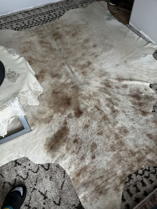 Rzadkość! Skóra bawoła – naturalna, piękny rys”