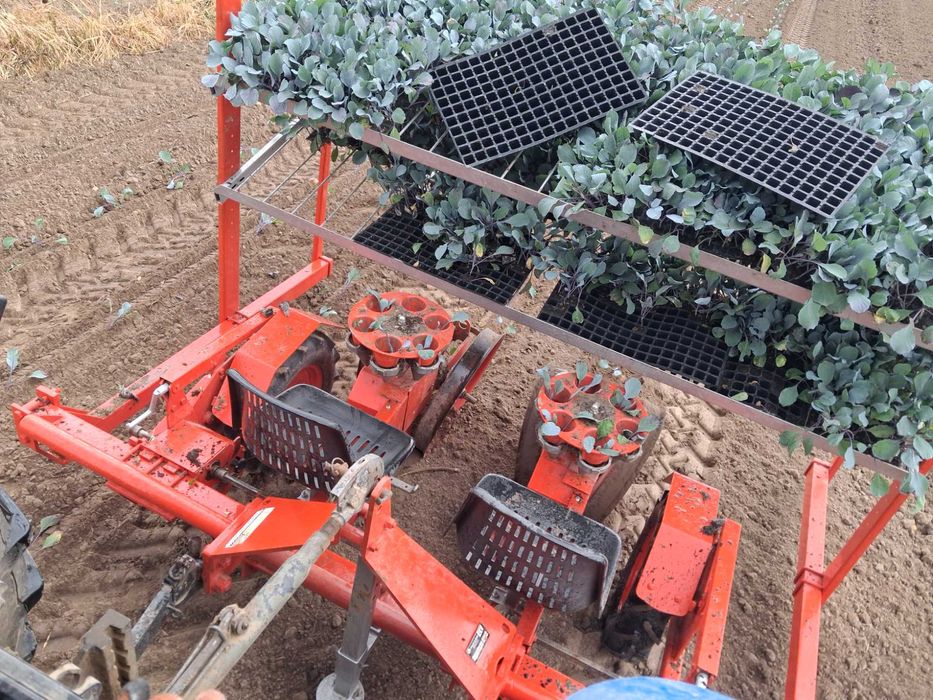 Sprzedam sadzarkę 2 rzędową checchi magli