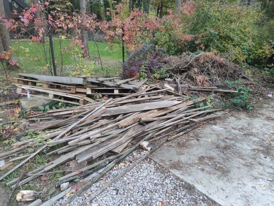 Drewno / galezie /palety oddam za darmo