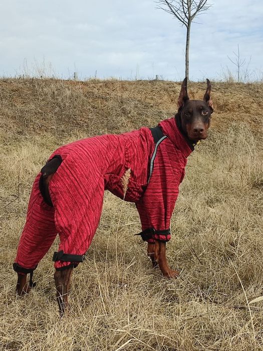 Зимовий комбінезон для собаки на флісі одяг