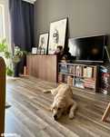 Apartament 2 pokojowy tuż obok Starego Browaru i parku
