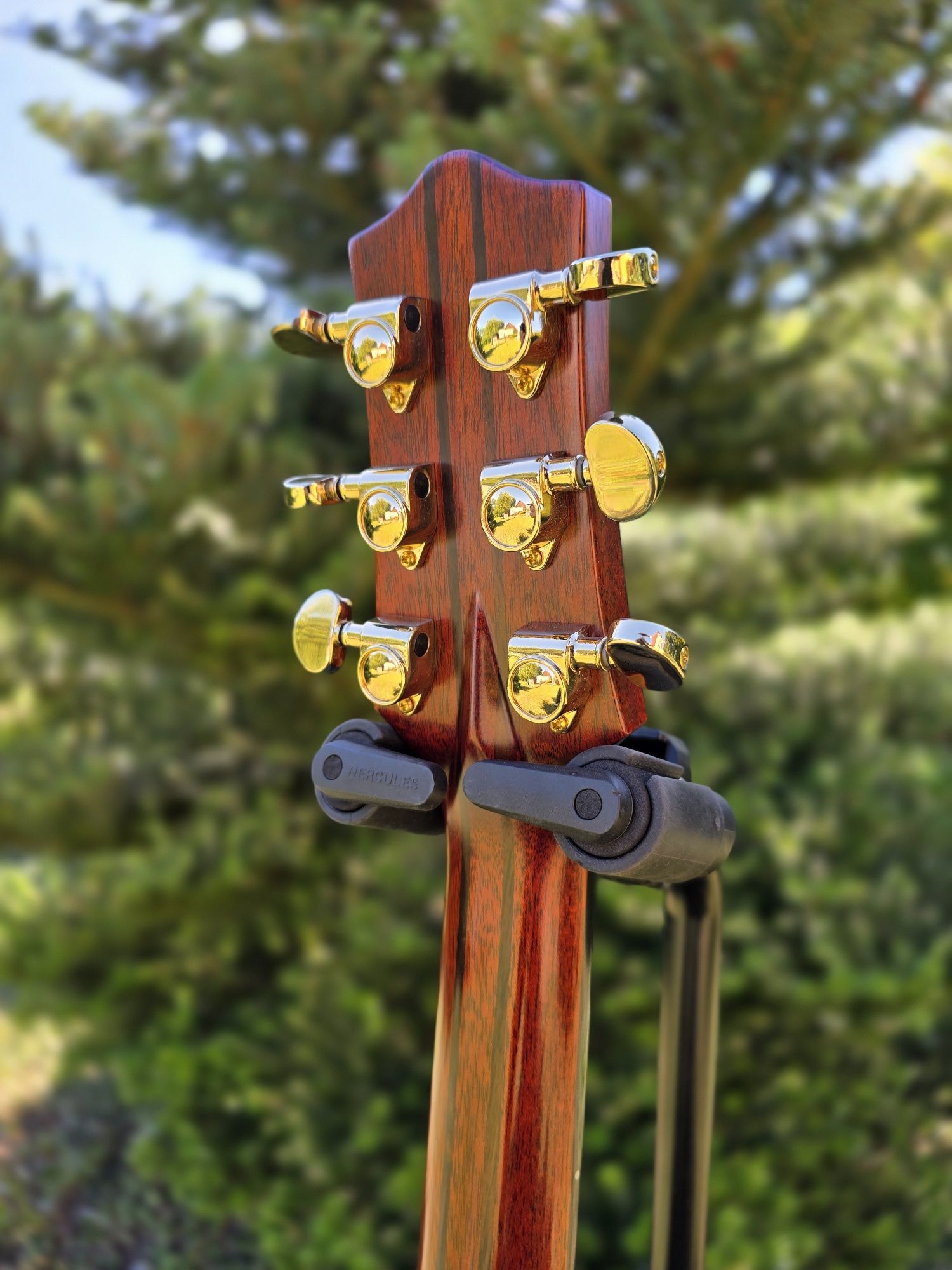 Gitara Akustyczna RACHONSKY AC-250