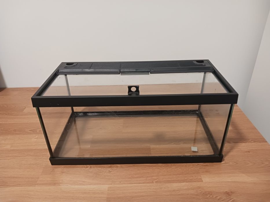 Tartarugueira de vidro