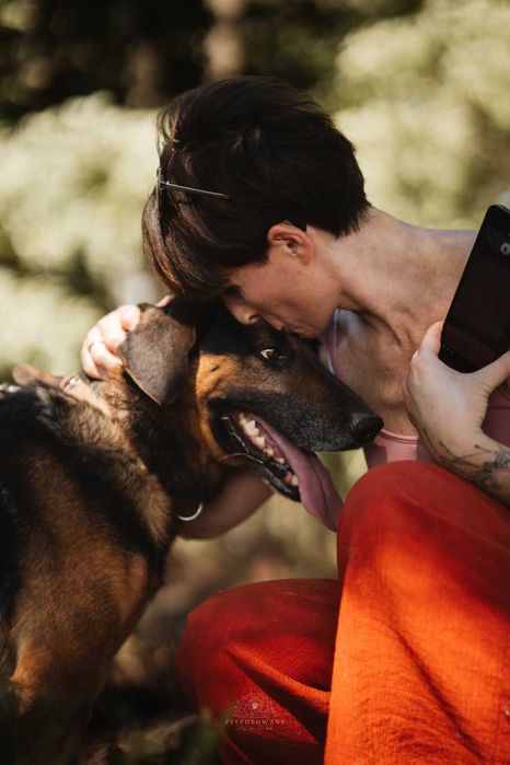 Szefuńcio - pies o myśliwskim sercu ADOPCJA