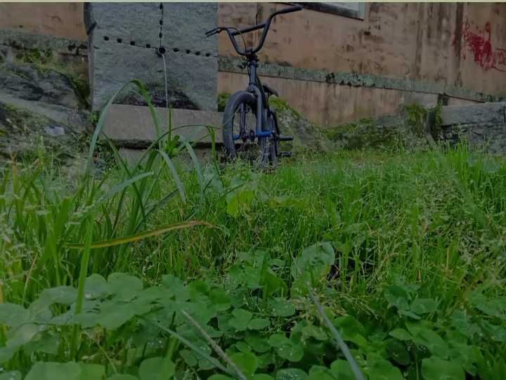 Bmx sem travões.