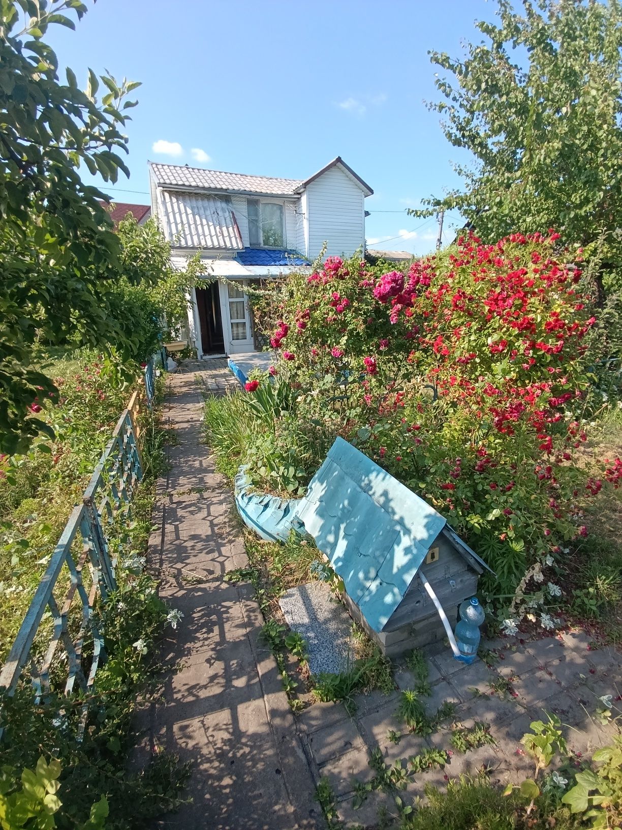 Дача в кооперативі на Коновальця