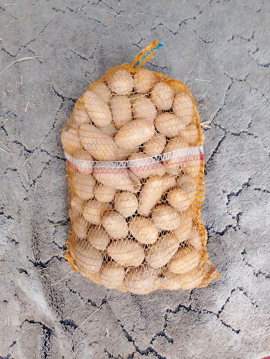 Sprzedam Ziemniaki 30gr