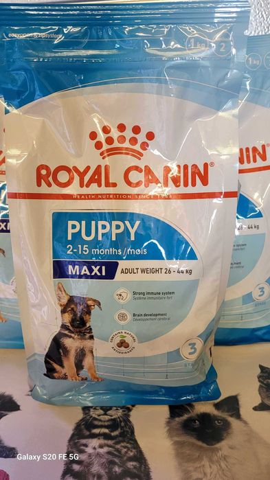 ROYAL CANIN MAXI PUPPY JUNIOR Karma dla szczeniąt ras dużych 3 x 1 Kg