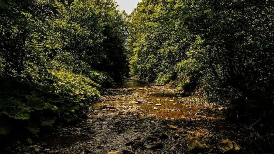 Chatki NAD Potokiem DOMEK  Gronków  Białka Bukowina Podhale Góry