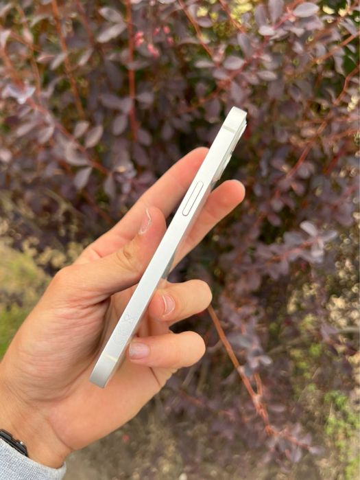 iPhone 13 128Gb 100%